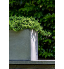"Natural" - Pot Jumbo Jort - Gris - Dimensions au choix