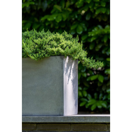"Natural" - Pot Jumbo Jort - Gris - Dimensions au choix