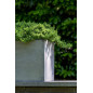"Natural" - Pot Jumbo Jort - Gris - Dimensions au choix "Natural" - Pot Jumbo Jort - Gris - Dimensions au choix