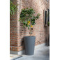 "Natural" - Pot Belle - Gris - Dimensions au choix