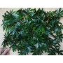 Treillis extensible feuilles vigne vierge 1mx3 brise vue