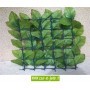 Haie artificielle feuilles de Rosier côté verso