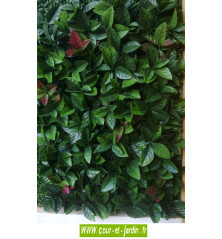 Haie artificielle RED ROBIN dentelé  PLAQUES de 50cmx50 en carton de 3m²