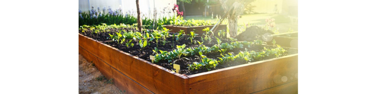 Jardinière sur pieds en bois à roulettes : Bac à plantes de 80cmx40