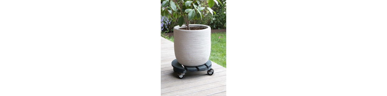 Roule Plantes