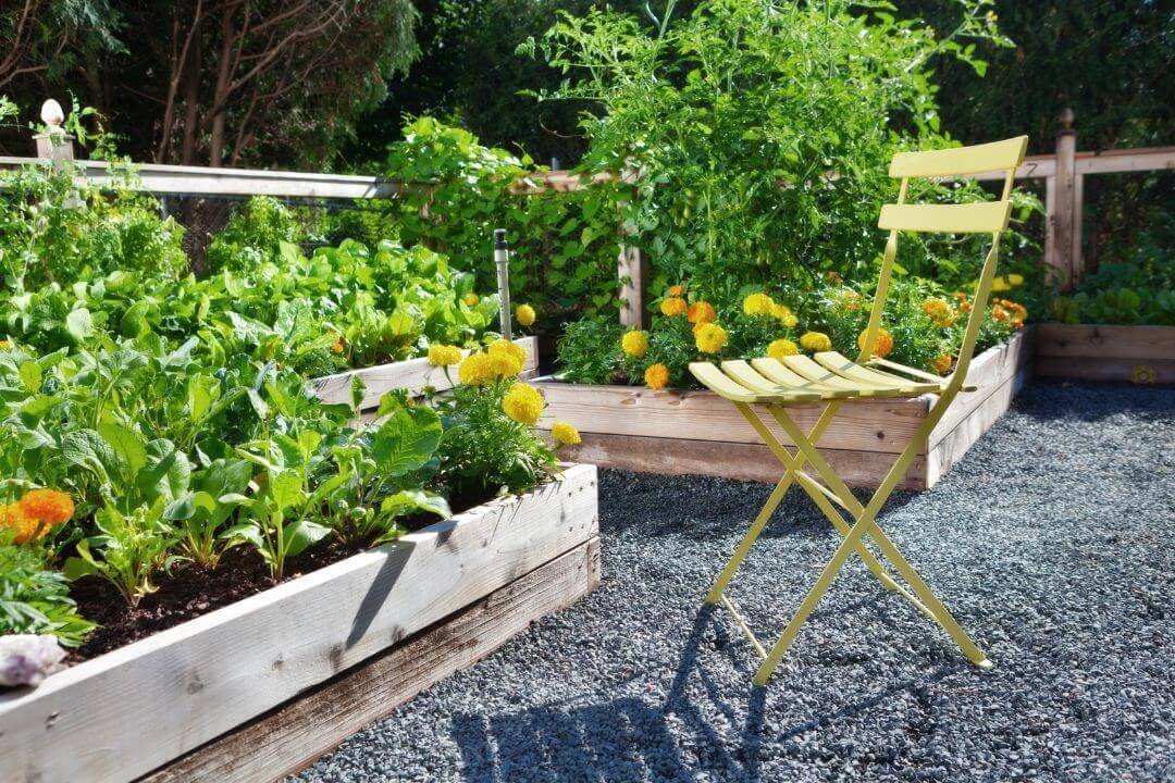 chaise de jardin à proximité de carrés potagers bien garnis
