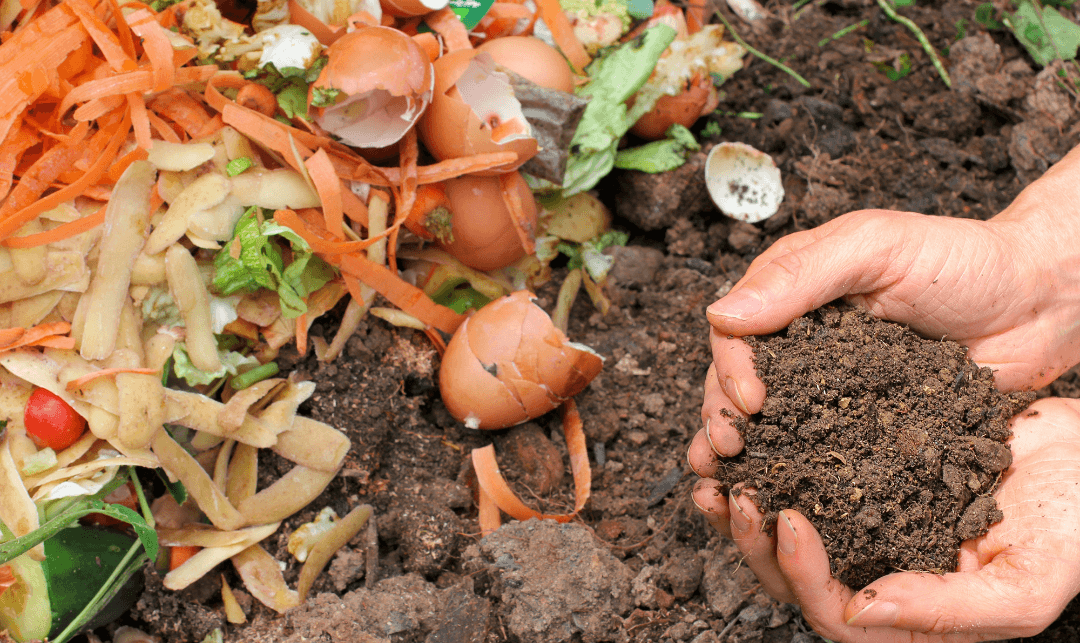 le compost pour recycler les biodéchets